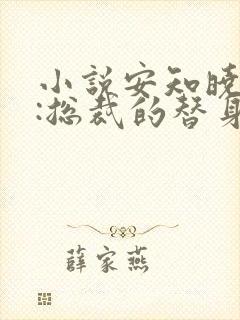 小说安知晓作品:总裁的替身前妻完整版封面