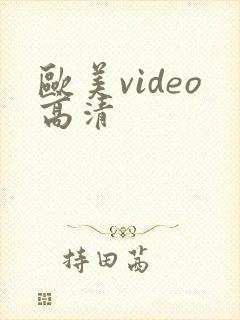 欧美video高清