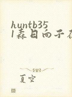 huntb351森日向子在线播放