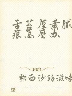 舌苔厚黄腻有齿痕怎么办