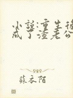 小说:重生后,成了渣老公的白月光