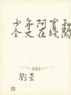 少年阿宾和房东全文在线阅读