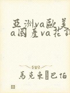亚洲va欧美va国产va花钱