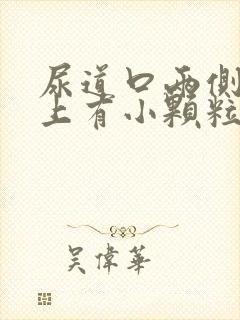 尿道口两侧外阴上有小颗粒