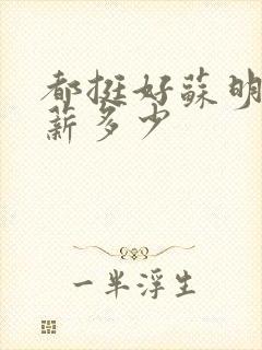 都挺好苏明玉年薪多少