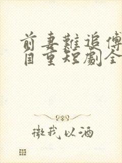 前妻难追傅总请自重短剧全集