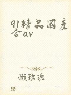 91精品国产综合av