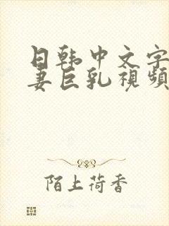 日韩中文字幕人妻巨乳视频