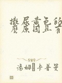 撒尿黄色的是什么原因且有沉淀物