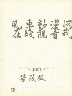 风车动漫网动漫在线观看我独自升级