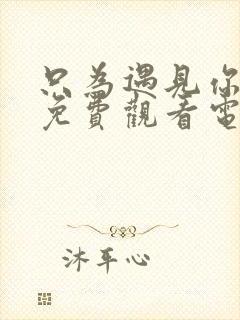 只为遇见你全集免费观看电视剧雷电网