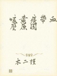 咳黄痰带血是什么原因