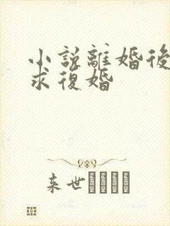 小说离婚后哭着求复婚