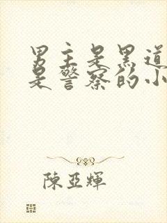 男主是黑道女主是警察的小说