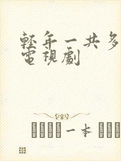 轻年一共多少集电视剧