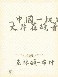 _中国一级特黄大片在线看