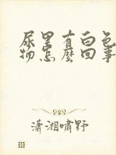 尿里有白色沉淀物怎么回事