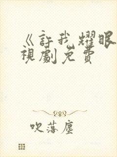 《许我耀眼》电视剧免费