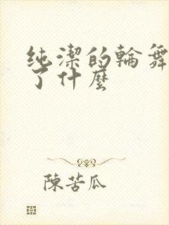 纯洁的轮舞曲讲了什么封面