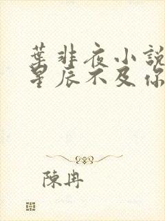 叶非夜小说亿万星辰不及你封面