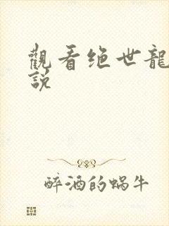 观看绝世龙帅小说