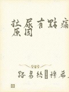 拉尿有点痛什么原因封面