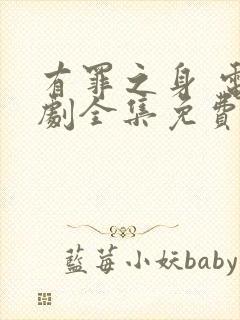 有罪之身 电视剧全集免费观看