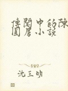 传闻中的陈芊芊圆房小说