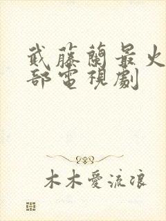 武藤兰最火的三部电视剧