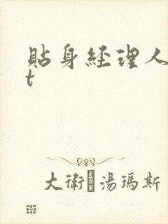 贴身经理人txt封面