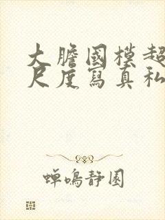 大胆国模超超大尺度写真私拍在线播