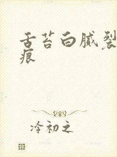 舌苔白腻裂纹齿痕