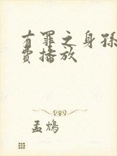 有罪之身孙千免费播放