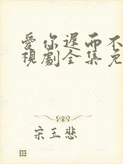 爱你迟而不晚电视剧全集免费播放