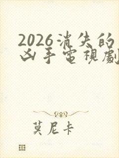 2026消失的凶手电视剧宣璐封面