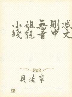 小姐无删减版在线观看中文