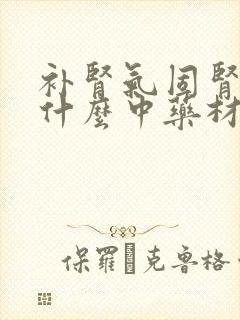 补肾气固肾精吃什么中药材