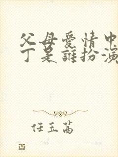 父母爱情中的老丁是谁扮演的