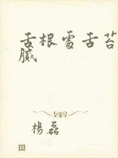 舌根处舌苔厚黄腻