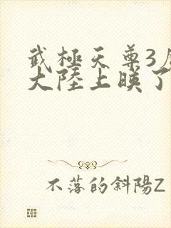 武极天尊3魔方大陆上映了吗