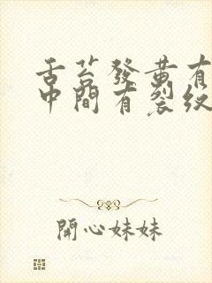 舌苔发黄有齿痕中间有裂纹吃什么药