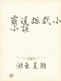 霸道总裁小娇妻小说封面