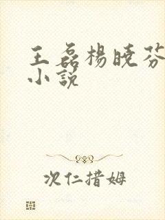 王磊杨晓芬王森小说