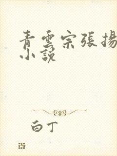 青云宗张扬修仙小说封面