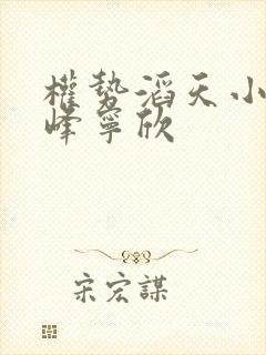 权势滔天小说林峰宁欣