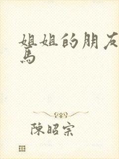 姐姐的朋友3神马