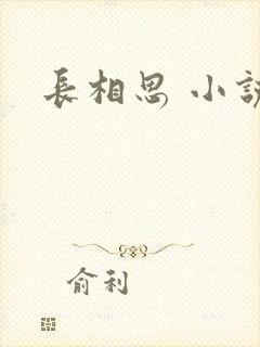 长相思 小说