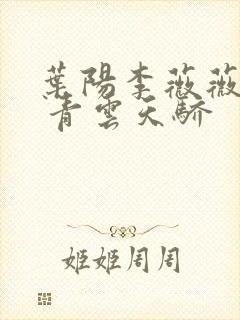 叶阳李薇薇官路 青云天骄