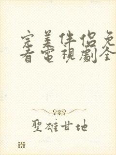 完美伴侣免费观看电视剧全集