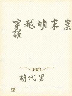 穿越明末崇祯小说